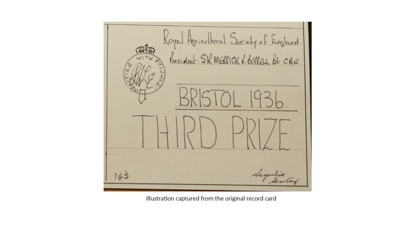 Certificate; 1936; STMEA:1987-34.428