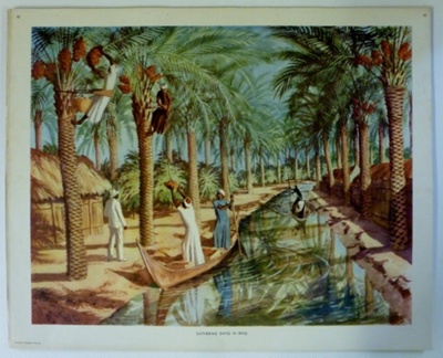 Colour Print; Macmillan Education Ltd.; STMEA:1989-4.205
