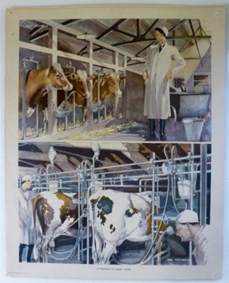 Colour print; Macmillan and Co Ltd; c1940-c1960; STMEA:1989-4.172