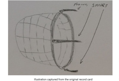 Animal Muzzle; STMEA:2018-132