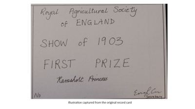 Certificate; 1903; STMEA:1987-34.547