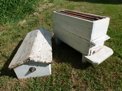 Nucleus hive; 1940s - 1950s; STMEA:A.5650