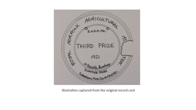 Rosette; Royal Norfolk Agricultural Association; 1921; STMEA:1987-34.157