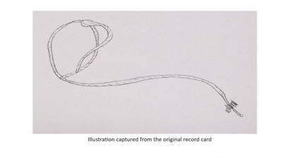 Rope halter; STMEA:1988-37.9