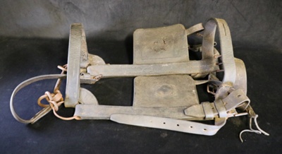 Bridle; STMEA:B.525