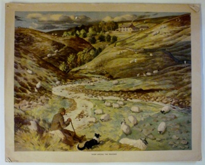 Colour Print; Macmillan Education Ltd.; STMEA:1989-4.223