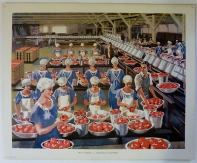 Colour print; Macmillan and Co Ltd; c1940-c1960; STMEA:1989-4.196