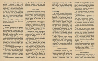 Wartime leaflet; The Ministry of Agriculture, Fisheries and Food; STMEA:1991-21.7