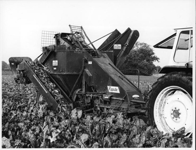 Photograph, sugar beet harvester; STMEA:75.P.344.4