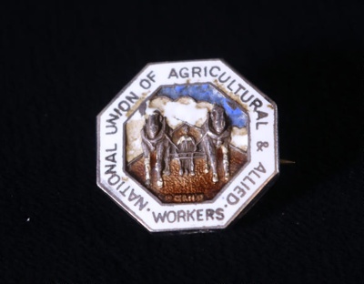 Badge; STMEA:2011-137
