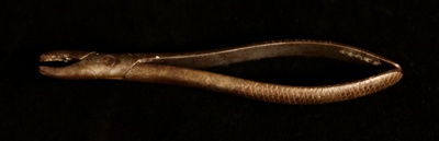 Dog's Tooth Forceps; STMEA:A.4088