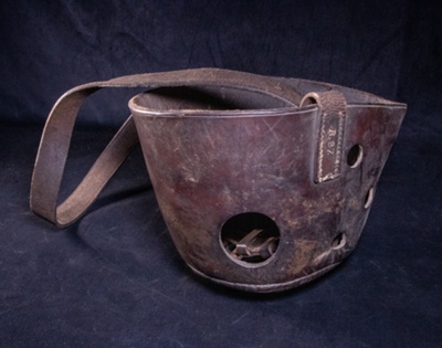 Muzzle (Horse); STMEA:B.87