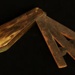 Fleam; STMEA:A.4471