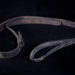  Crupper; STMEA:A.1442