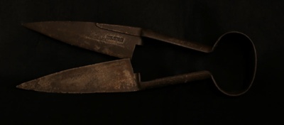 Shears Sheep; STMEA:77.A.80.7