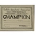 Certificate; 1911; STMEA:1987-34.111a