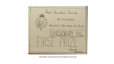 Certificate; 1914; STMEA:1987-34.445b