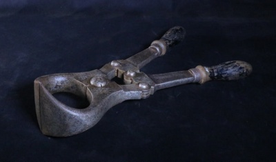 Castrator; STMEA:A.591