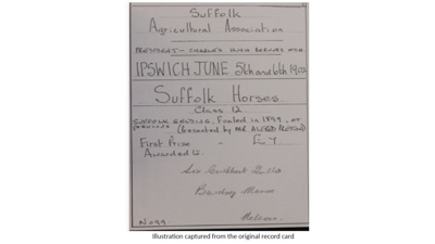Certificate; 1902; STMEA:1987-34.570
