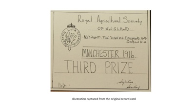 Certificate; 1916; STMEA:1987-34.455