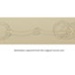 Snaffle bit; STMEA:A.5608