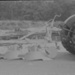 Glass negative, Fordson major with mounted plough.; STMEA:A.6576