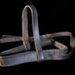 Bridle; STMEA:A.86