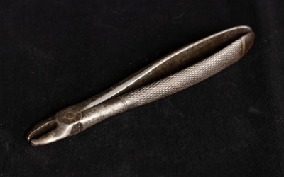 Dog's Tooth Forceps; STMEA:A.4087