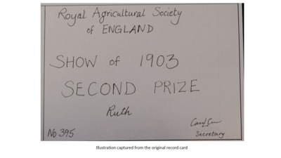 Certificate; 1903; STMEA:1987-34.548