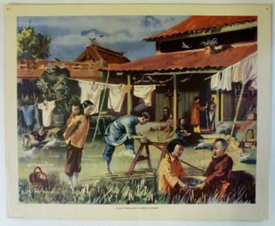 Colour Print; Macmillan Education Ltd.; STMEA:1989-4.238