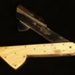 Fleam; STMEA:A.4721