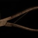 Sheep Ear punch; STMEA:81.A.79.2.1