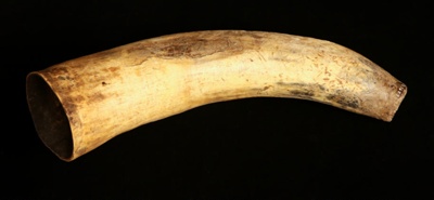 Drenching Horn; STMEA:A.3685