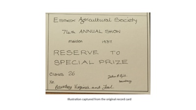 Certificate; 1937; STMEA:1987-34.454