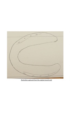 Horse Shoe; STMEA:2018-425