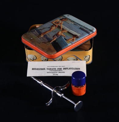 Caponising instrument (bottle); STMEA:1991-1.1b