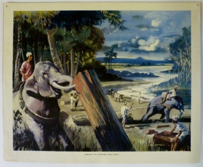 Colour Print; Macmillan Education Ltd.; STMEA:1989-4.247
