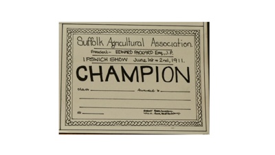 Certificate; 1911; STMEA:1987-34.111b