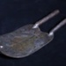 Castration or Docking Iron; STMEA:A.729