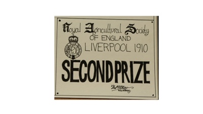 Certificate; 1910; STMEA:1987-34.105a