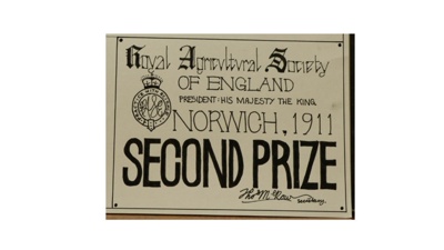 Certificate; 1911; STMEA:1987-34.101a