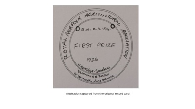 Rosette; Royal Norfolk Agricultural Association; 1926; STMEA:1987-34.131b