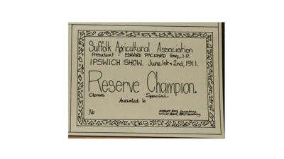 Certificate; 1911; STMEA:1987-34.114a
