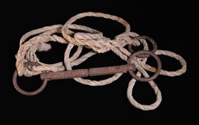 Bridle
Halter (Breaking halter); STMEA:2018-387