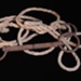 Bridle
Halter (Breaking halter); STMEA:2018-387