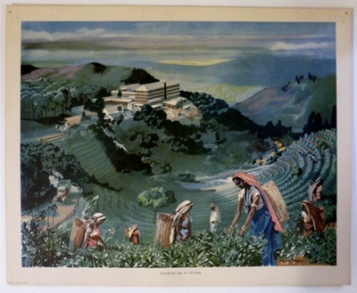 Colour Print; Macmillan Education Ltd.; STMEA:1989-4.217
