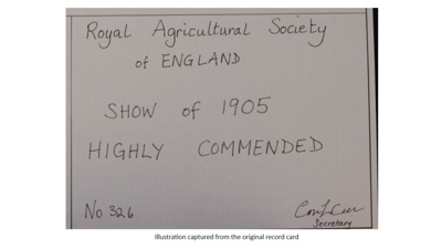 Certificate; 1905; STMEA:1987-34.543