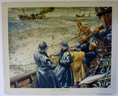 Colour print; Macmillan and Co Ltd; c1940-c1960; STMEA:1989-4.184