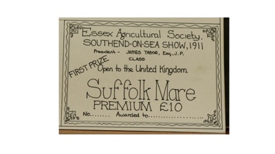 Certificate; 1911; STMEA:1987-34.95a