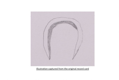 U shaped Staple; Evans; STMEA:2018-580 U shaped Staple; Evans; STMEA:2018-580